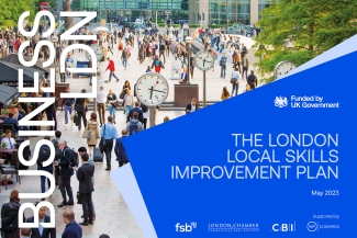 LSIP Report front cover landscape