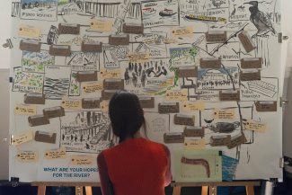 Photo of person looking at wall of sticky notes 