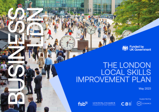LSIP Report front cover landscape
