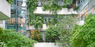 Vertical garden with green trees on the building. Green building, eco friendly