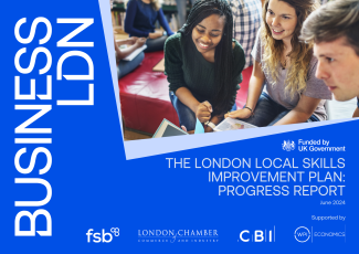 LSIP Progress report cover landscape