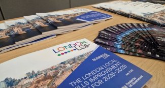 Copies of LSIP report 2026